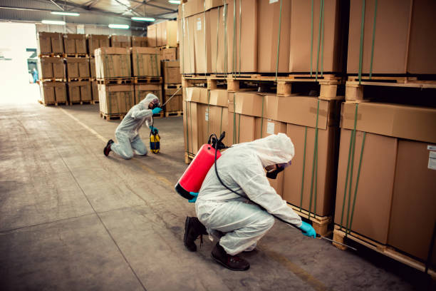 Best Cockroach Control Services  in Tysons, VA