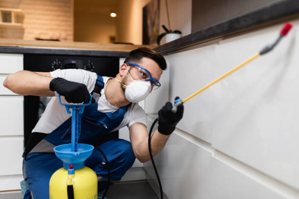 Best Best Pest Control Companies  in Tysons, VA