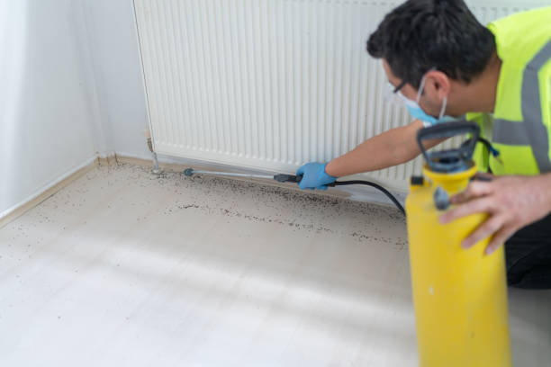 Best Residential Pest Control  in Tysons, VA