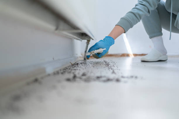 Best Affordable Pest Control Services  in Tysons, VA